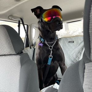 Meet your Posher, Katelynn